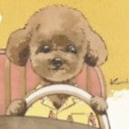 ステッカー🐶aloha drive