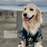 【犬用】Le'anal⭐︎ネックレス🌺チェーン単品