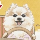 ステッカー🐶aloha drive