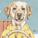 ステッカー🐶aloha drive