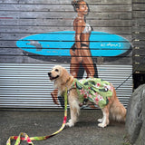 わんこ服・ムームー🌺プルメリア・ヤシ グリーン