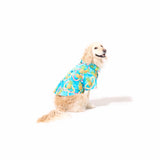 わんこ服・アロハシャツ🌺パイナップル・レイ