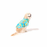 わんこ服・アロハシャツ🌺パイナップル・レイ