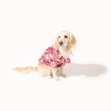 わんこ服・アロハシャツ🌺ビンテージオーシャン