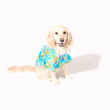 わんこ服・アロハシャツ🌺パイナップル・レイ