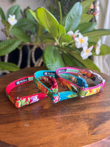 わんこ服とお揃い🌺首輪(SMサイズ)