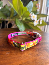 わんこ服とお揃い🌺首輪(SMサイズ)