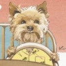 ステッカー🐶aloha drive