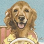 ステッカー🐶aloha drive