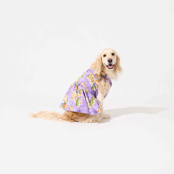 ALOHAなわんこ服ムームー🌺XLサイズ・わんこ服🌺アロハシャツ再々追加販売開始