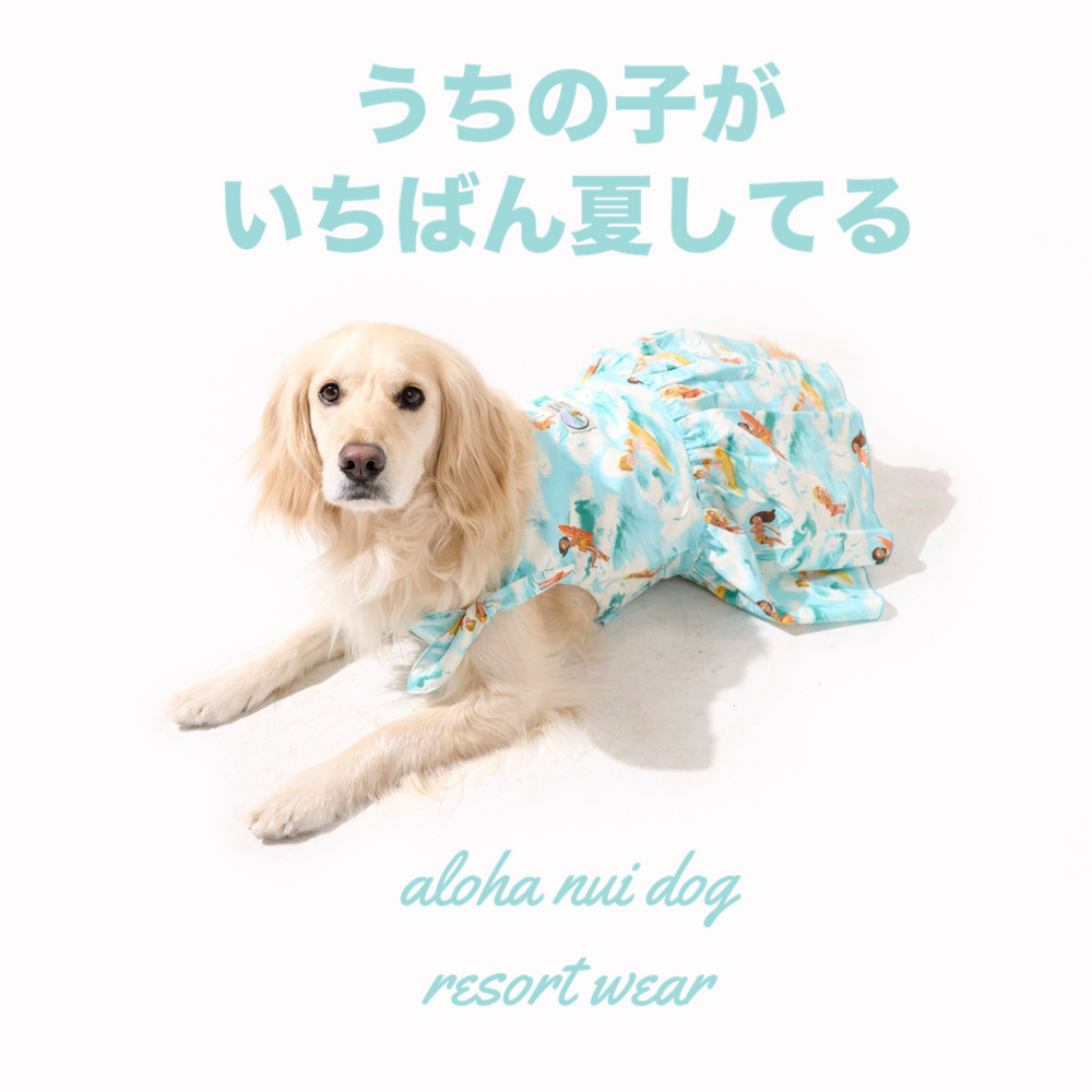 アロハ縫茅ヶ崎（アロハ・ヌイ・チガサキ）オフィシャルショップ