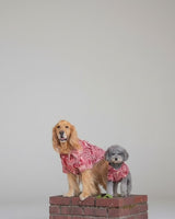 わんこ服・アロハシャツ🌺ビンテージオーシャン