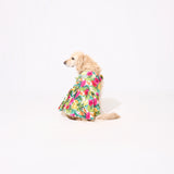 わんこ服・ムームー🌺ジンジャーフラワー (再販)