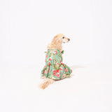 【2月末販売開始予定】わんこ服・ムームー🌺プルメリアヤシ・セージ