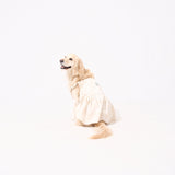 【2月末販売開始予定】わんこ服・ムームー🌺ハワイアンヒストリー・タン