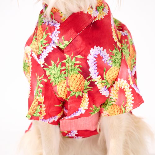 【5月上旬販売開始】わんこ浴衣🌺パイナップル・レイ