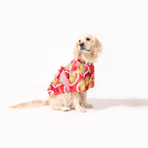【5月上旬販売開始】わんこ浴衣🌺パイナップル・レイ