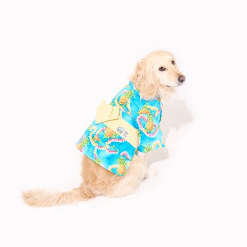 【5月上旬販売開始】わんこ浴衣🌺パイナップル・レイ