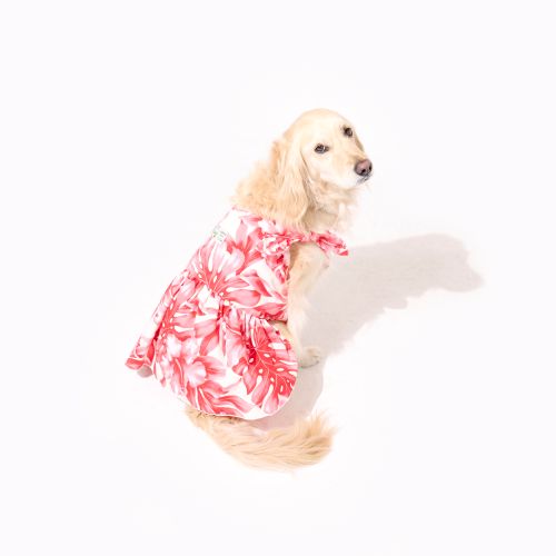 わんこ服・ムームー🌺ラグジュアリーリゾート