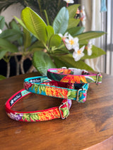 わんこ服とお揃い🌺首輪(SMサイズ）